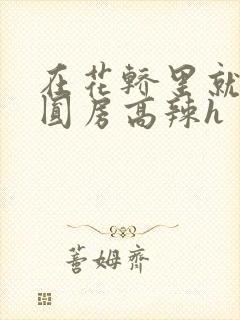 在花轿里就开始圆房高辣h