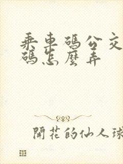 乘车码公交二维码怎么弄