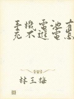 手机电池有时候充不进电怎么回事