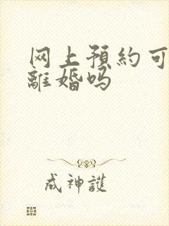 网上预约可以办离婚吗