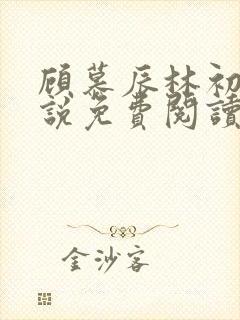 顾慕辰林初荔小说免费阅读最新章节