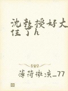 沈教授好大含不住了h