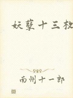 妖孽十三枚