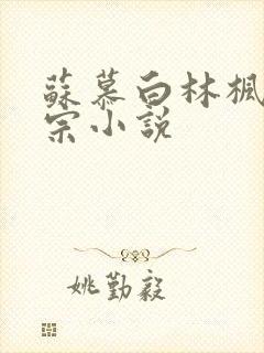 苏慕白林枫神霄宗小说