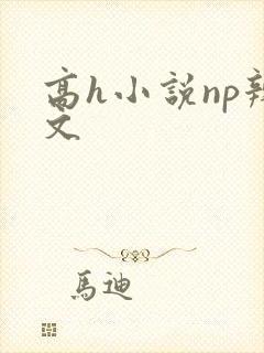 高h小说np辣文