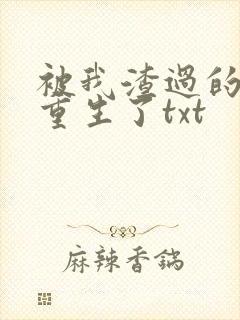 被我渣过的男主重生了txt
