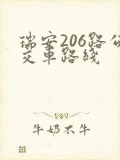 瑞安206路公交车路线