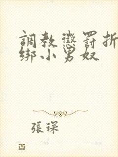 调教惩罚折磨捆绑小男奴