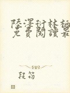 陆泽衍林栖小说免费阅读最新章节