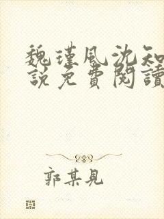 魏瑾风沈知玉小说免费阅读最新章节