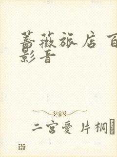 蔷薇旅店 百度影音