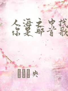 人海之中找到了你是哪首歌的歌词