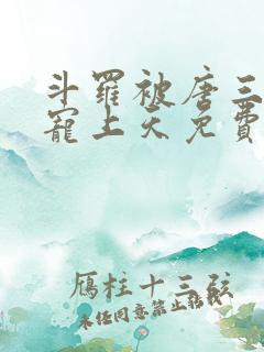 斗罗被唐三哥哥宠上天免费