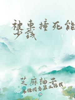 被车撞死能赔多少钱