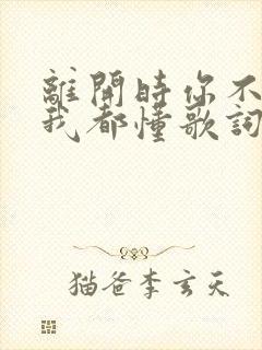 离开时你不用说我都懂歌词