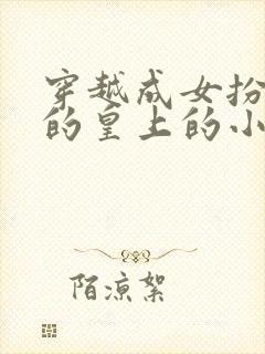 穿越成女扮男装的皇上的小说