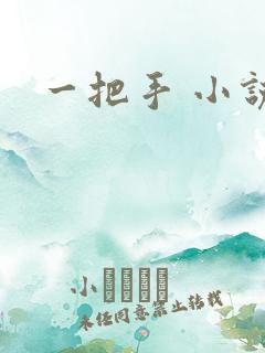 一把手 小说