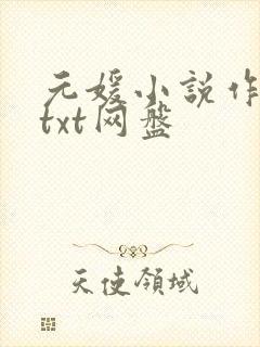 元媛小说作品集txt网盘