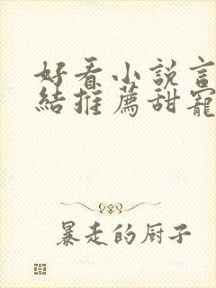 好看小说言情完结推荐甜宠文