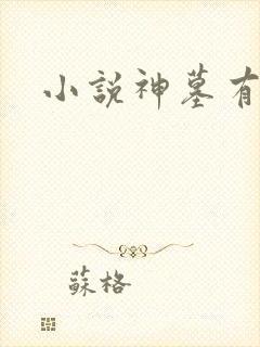 小说神墓有声