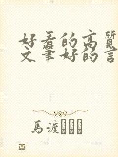 好看的高质量的文笔好的言情