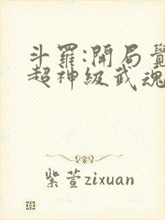 斗罗:开局觉醒超神级武魂 九天之光