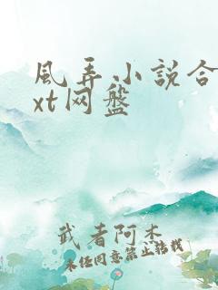 风弄小说合集txt网盘
