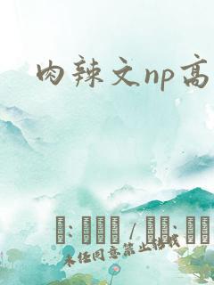 肉辣文np高h