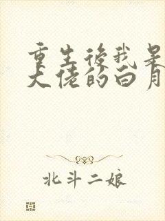 重生后我是所有大佬的白月光小说