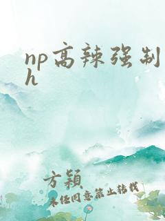 np高辣强制做h