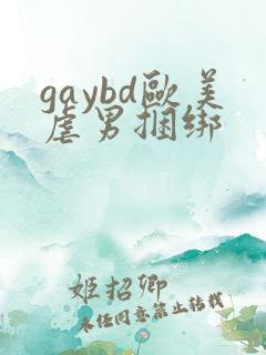 gaybd欧美虐男捆绑