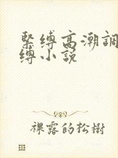 紧缚高潮调教束缚小说