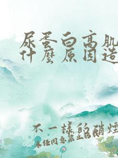 尿蛋白高肌酐是什么原因造成的