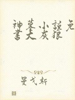 神墓小说免费听书大灰狼