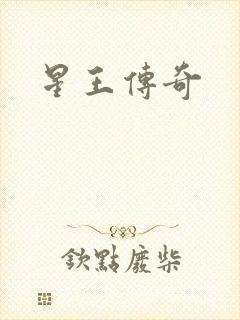 星王传奇
