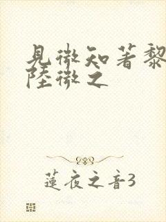 见微知著黎见卿陆微之