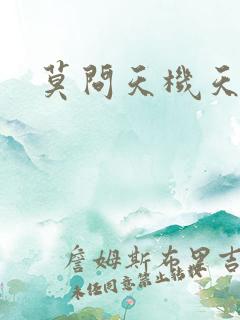 莫问天机天算卷