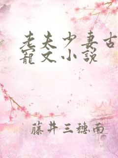 老夫少妻古言甜宠文小说