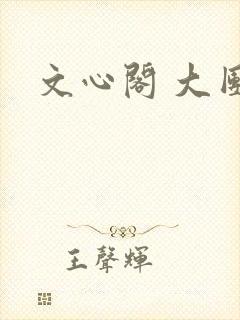文心阁 大团结