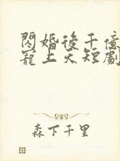 闪婚后千亿老公宠上天短剧12