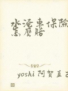 水淹车保险公司怎么赔