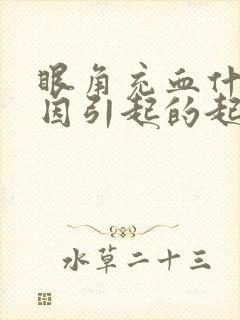 眼角充血什么原因引起的起的怎么治疗