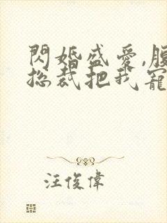 闪婚盛爱,腹黑总裁把我宠上天