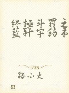 终极斗罗之我是蓝轩宇的弟弟