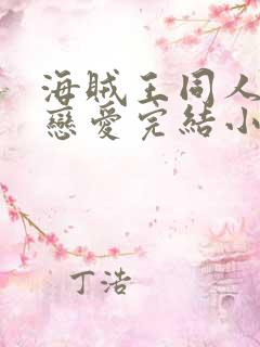 海贼王同人路飞恋爱完结小说