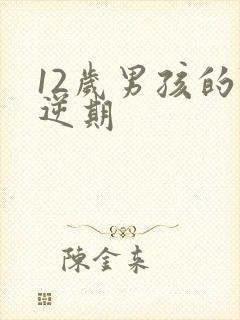 12岁男孩的叛逆期