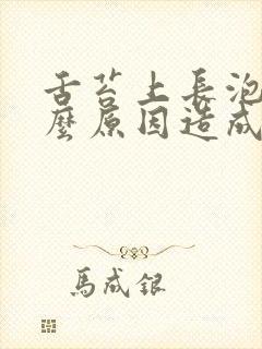 舌苔上长泡是什么原因造成的