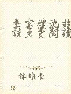 季宴礼沈非璃小说免费阅读最新章节