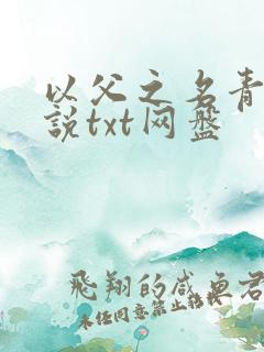 以父之名青浼小说txt网盘
