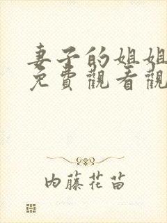 妻子的姐姐韩剧免费观看观看